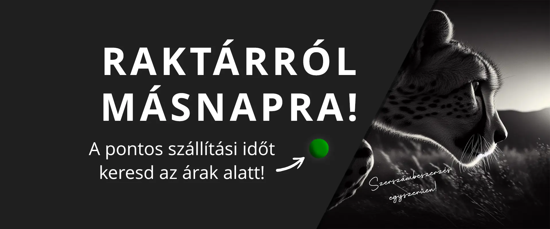  slide_1 