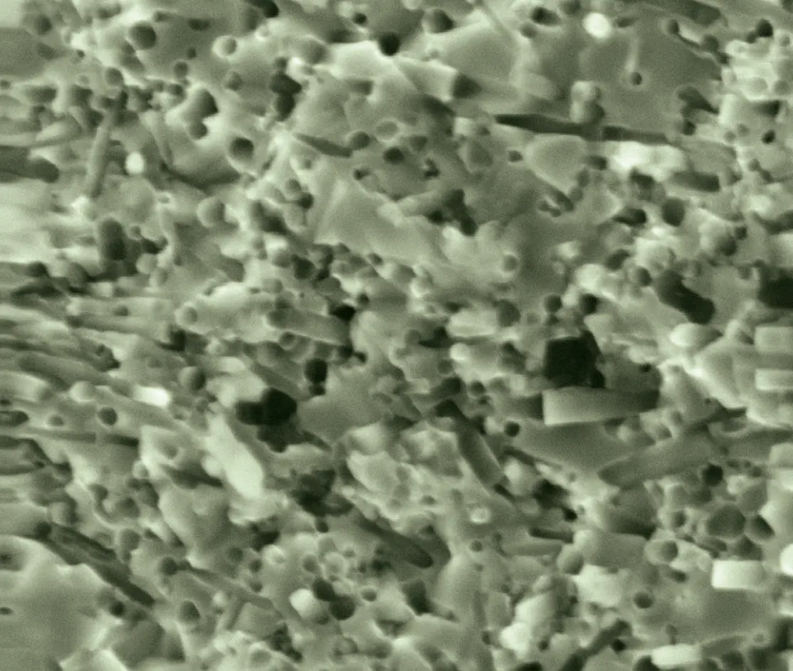 Whisker-erősítés mikroszerkezet